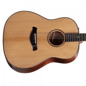 Taylor 517e Grand Pacific Builder's Edition